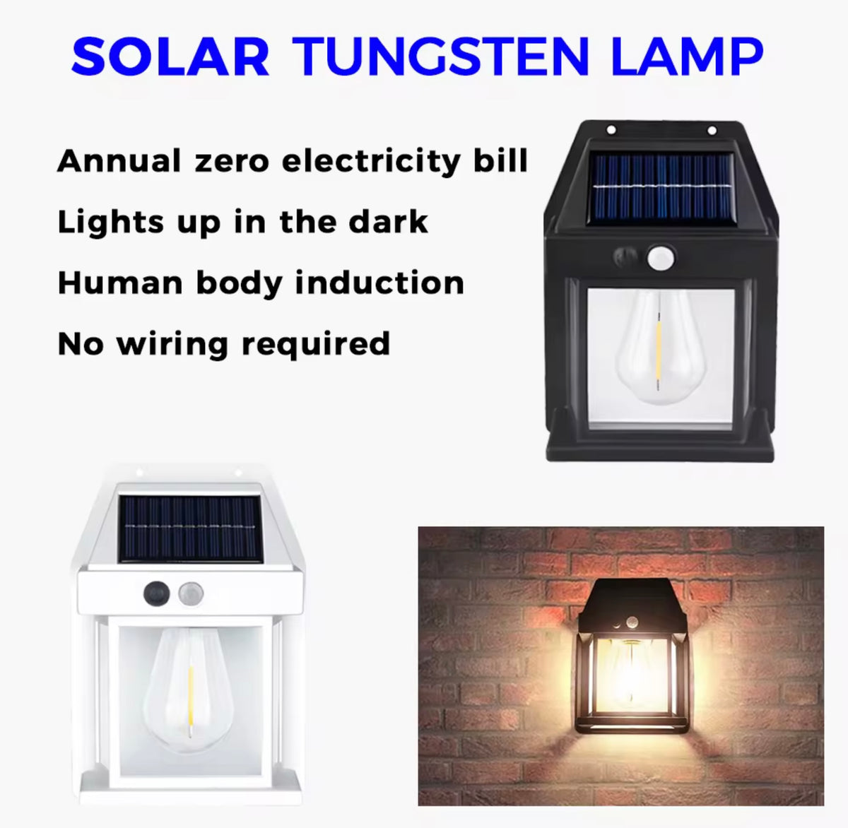 SOLAR POWERED INDUCTION LAMP